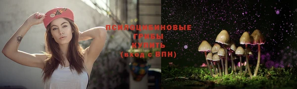 ALPHA PVP Коряжма