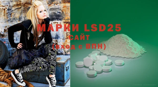 ECSTASY Костерёво