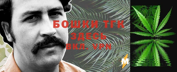 ECSTASY Костерёво