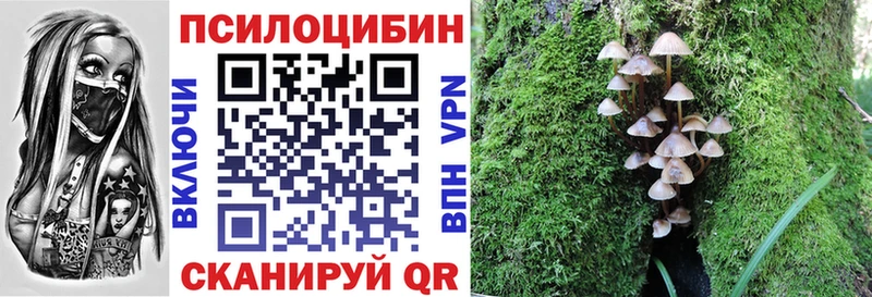 Купить закладки  Болотное  Галлюциногенные грибы прущие грибы 